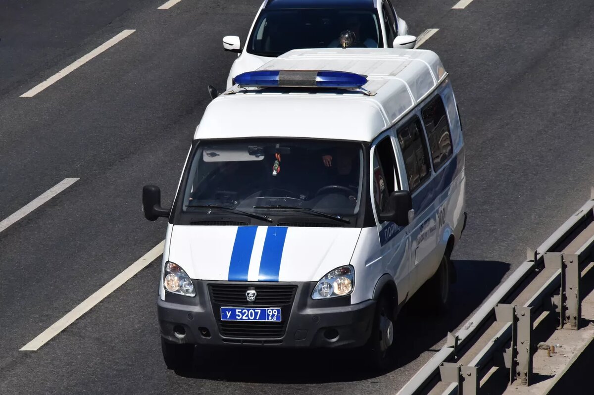 © Sputnik / Наталья Селиверстов