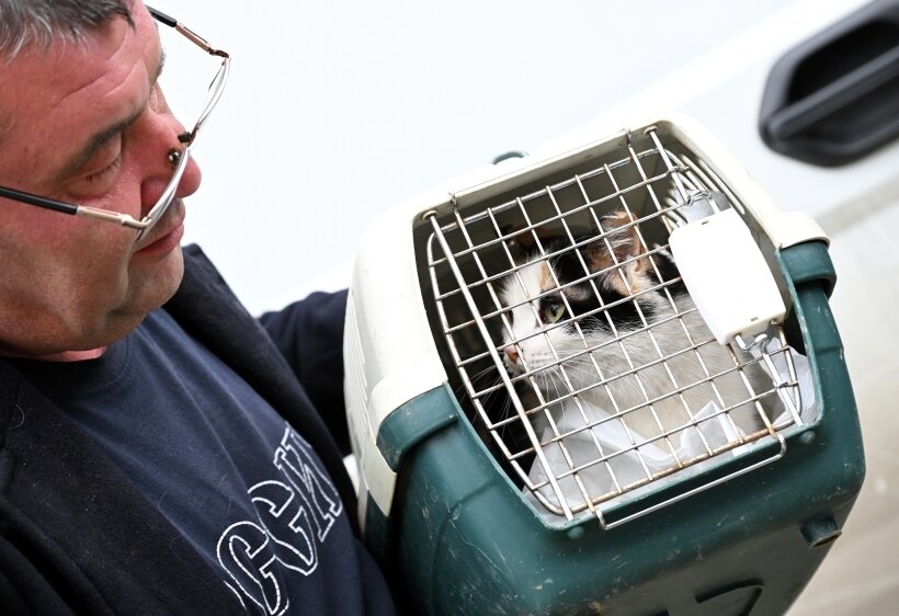 Перед поездками на дачу кошку нужно приучить к переноске   Фотография © РИА Новости. Максим Богодвид