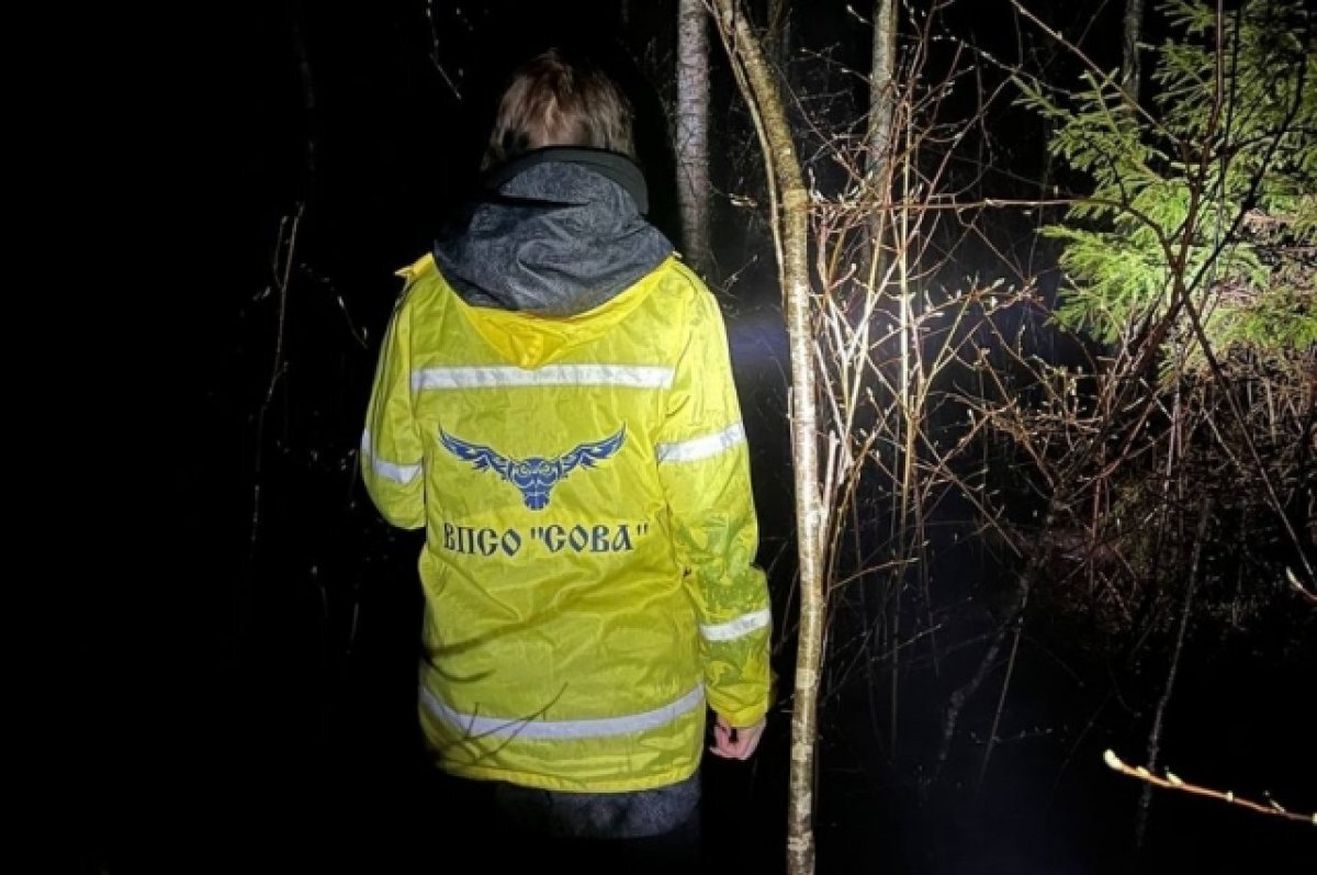    В Тверской области пропавшего водителя мешал искать медведь