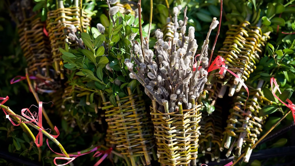 © photo: Sputnik / Stringer