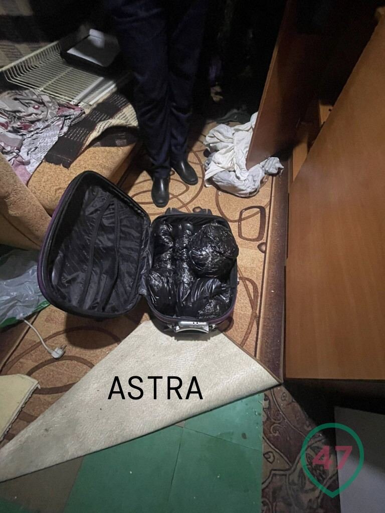 Фото: Astra