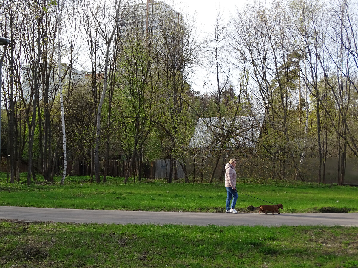 Частный сектор на улице Козлова