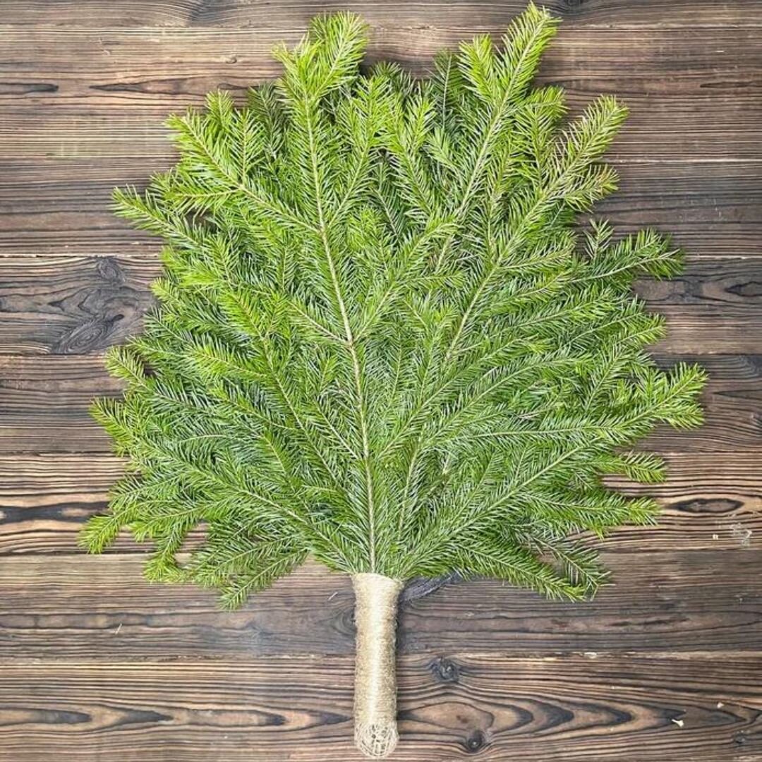 Пихтовый веник Премиум от DUBVENIK.RU