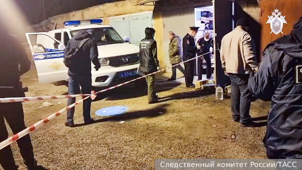     Фото: Следственный комитет России/ТАСС   
 Текст: Александра Юдина