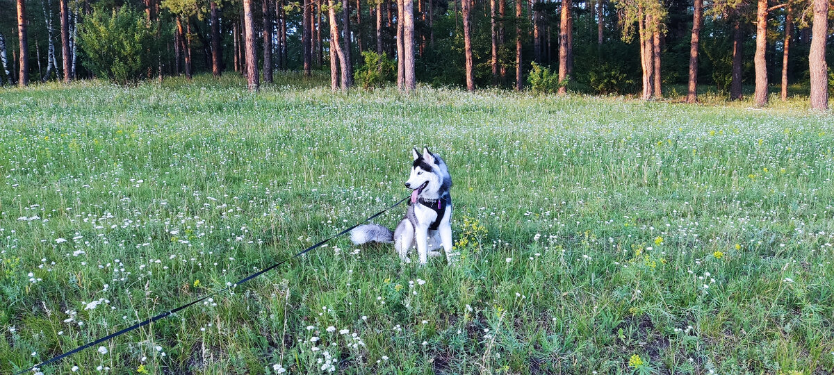 Весна