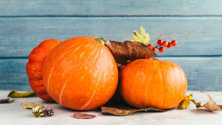 Источник: Freepik