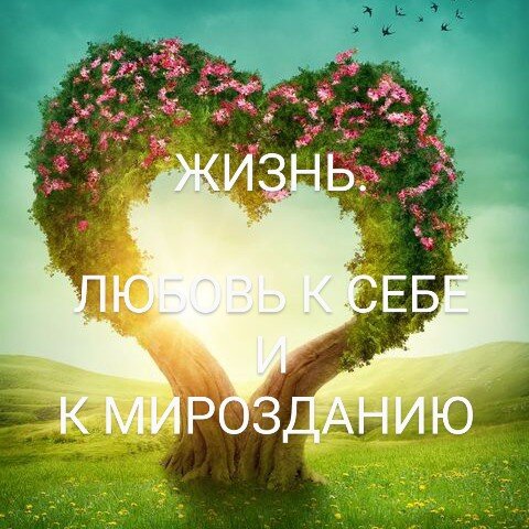 Картинка взята из интернета 