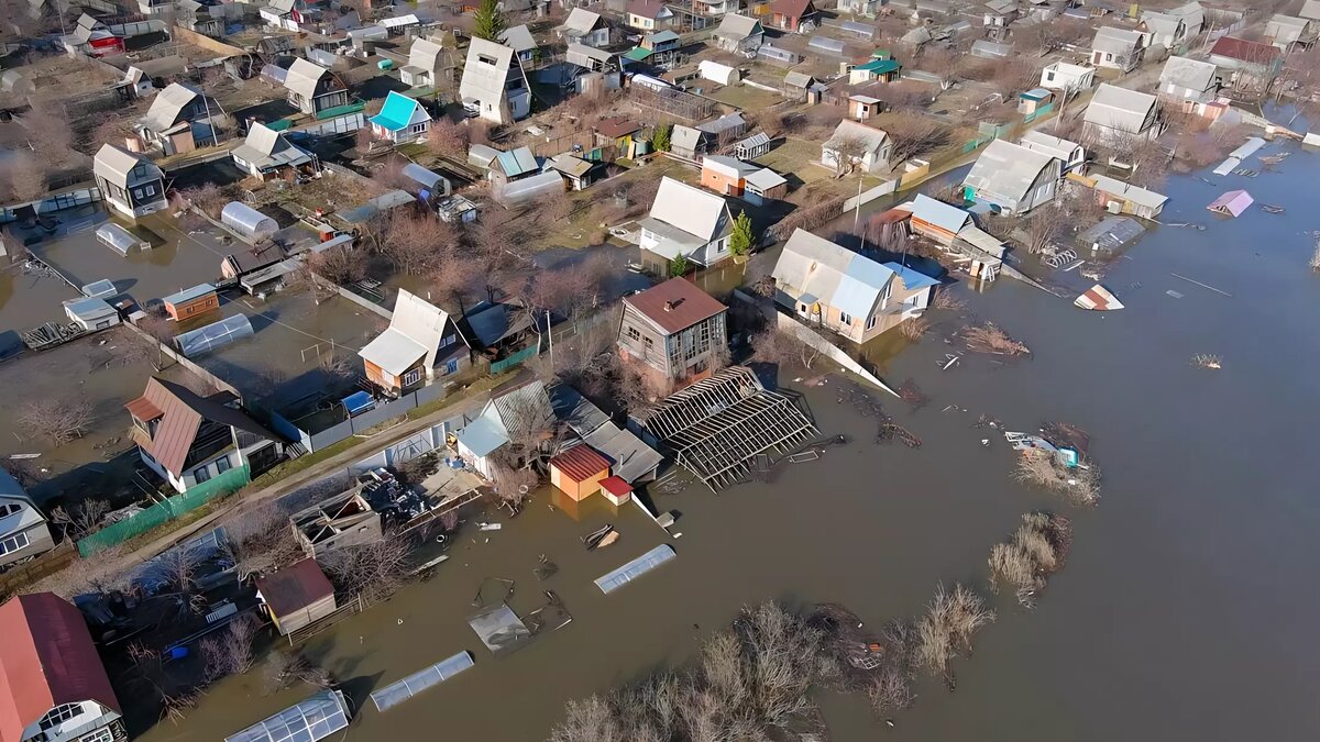     Источник: Соцсети