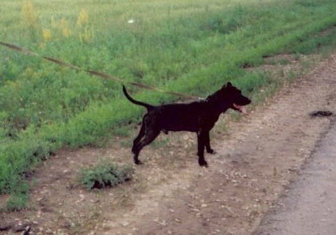 Фото из личного архива автора