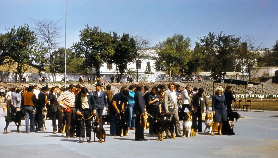 Фото из интернета