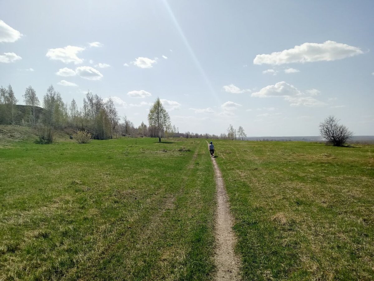 один из ярусов, вылезла свежая трава
