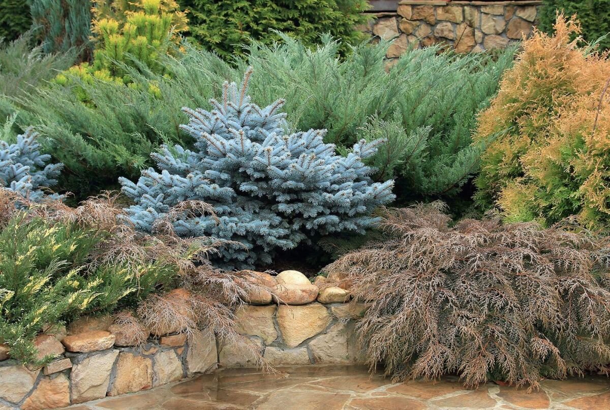    Эффектно оформить сад можно и без особых затрат.