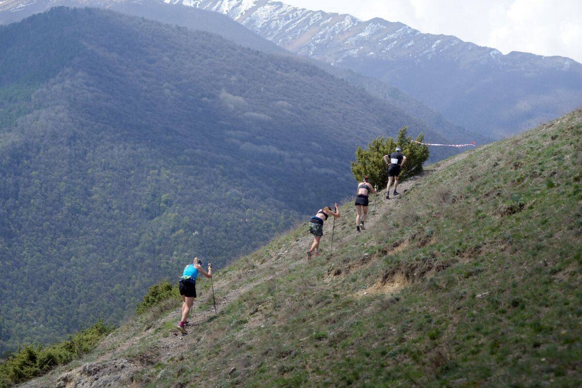 Фото: t.me/MAKalimatovvv