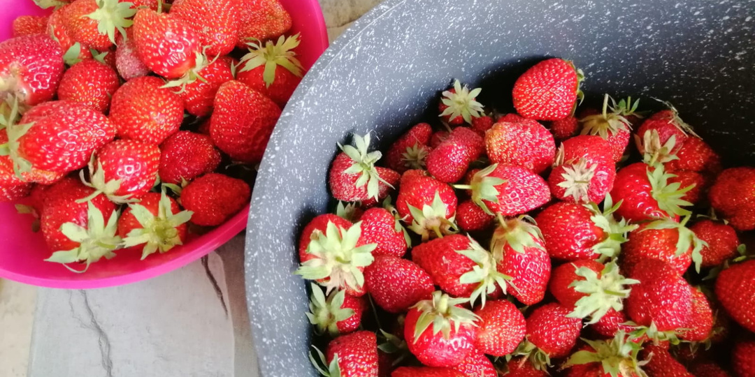 Радикально изменил свой весенний уход за клубникой. Теперь проблем с вредителями не возникает (спасибо моему другу — «клубничному фермеру»)