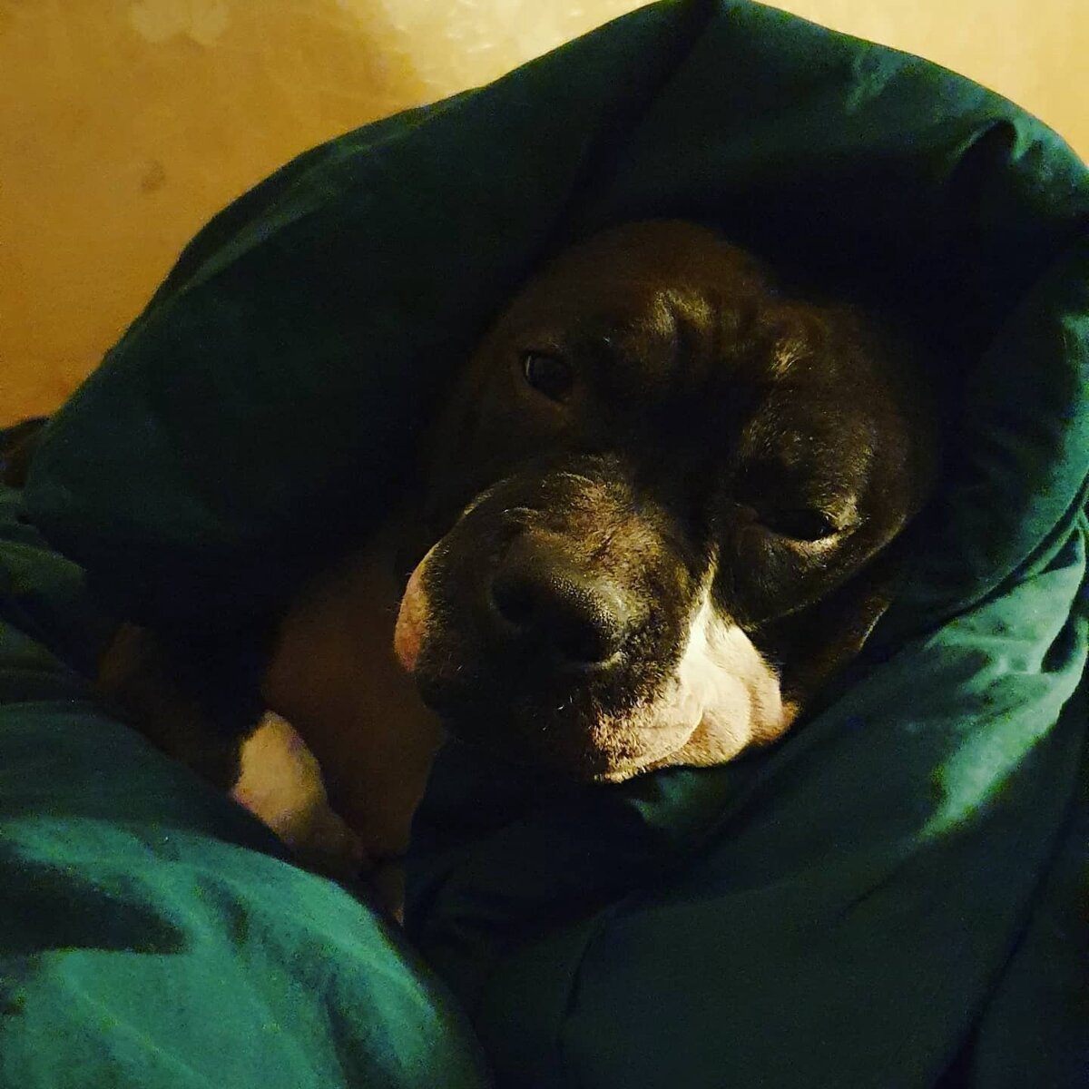 Фото из личного архива автора