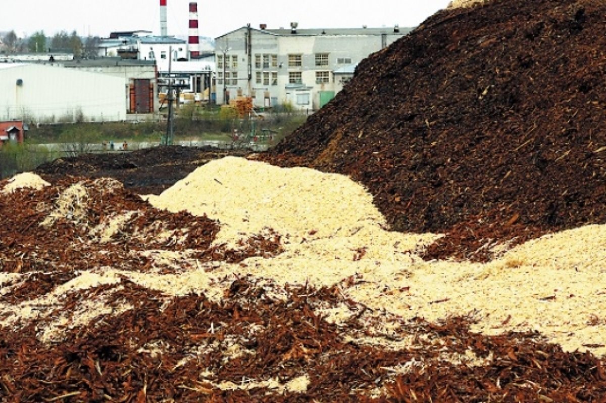    В Западнодвинском округе женщину зажало на пилораме, она получила перелом