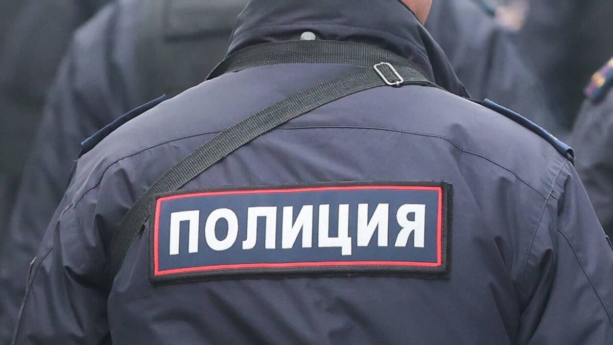 Фото: https://tvzvezda.ru/ (https://mcdn.tvzvezda.ru/storage/news_other_images/2024/04/12/b62042ee4d08429fa8de146c3f066176.jpg)
