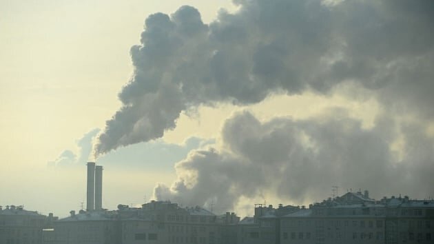 Фото nsktv.ru.