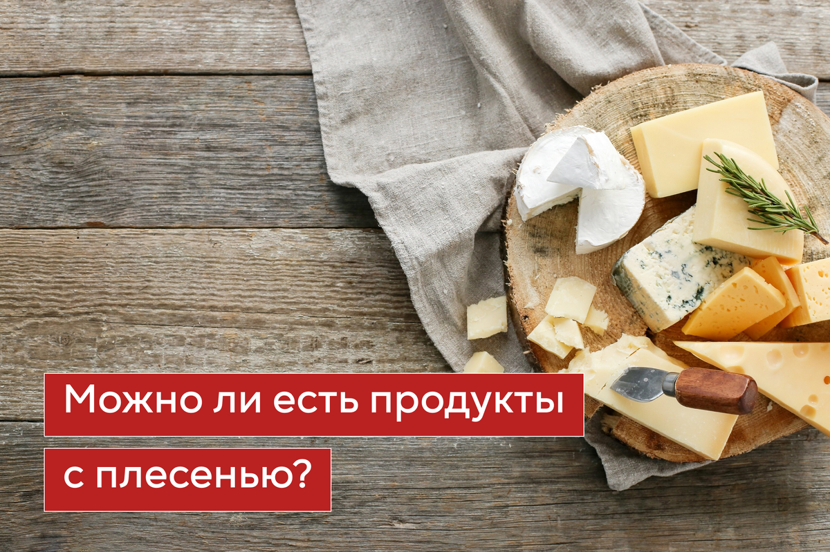 Можно ли есть продукты, на которых появилась плесень? | Институт  Нутрициологии при НАМО имени Бородина | Дзен