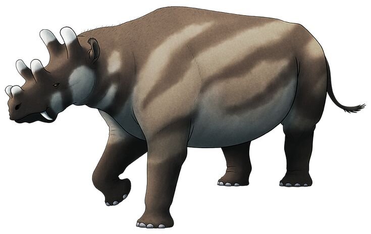 Это животное частенько путают с Уинатерием