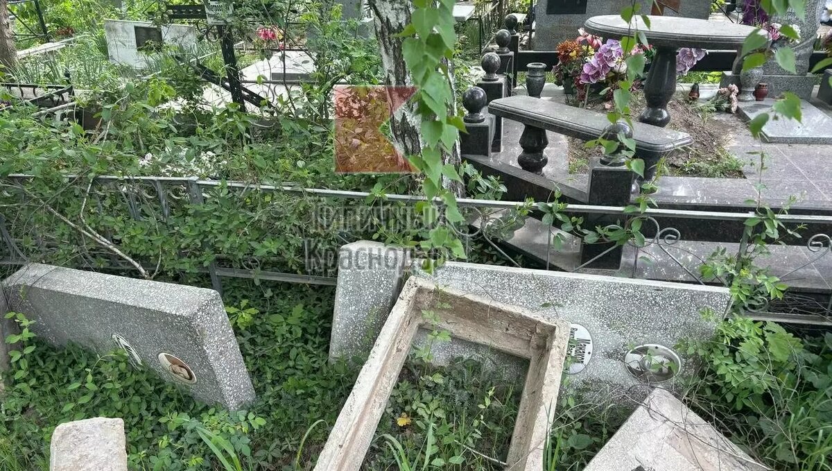     Источник: ТГК «Типичный Краснодар»