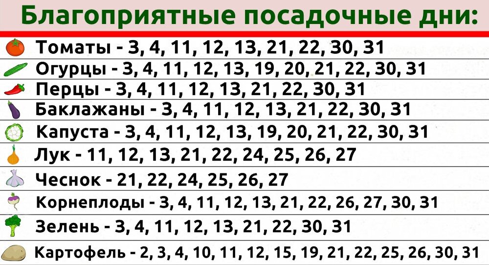 Календарь стрижек июнь 2024 Удачный лунный посевной календарь на май 2024 года Центр Садовода Оренбург Дзен