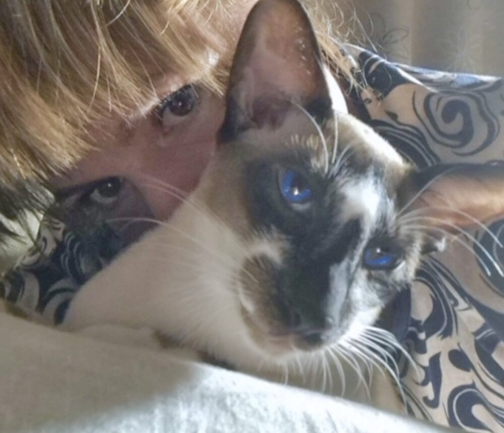 ГОША с подконтрольной