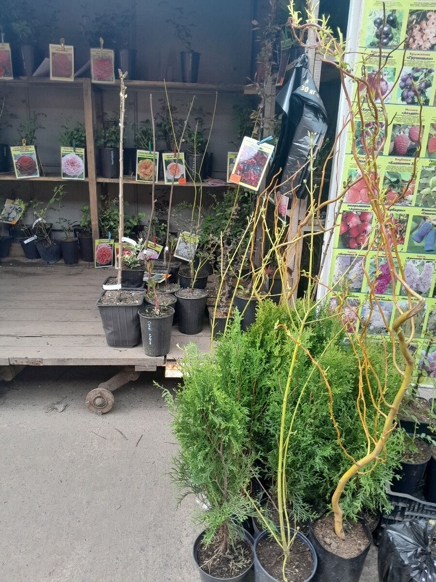 Зашла только посмотреть))😄