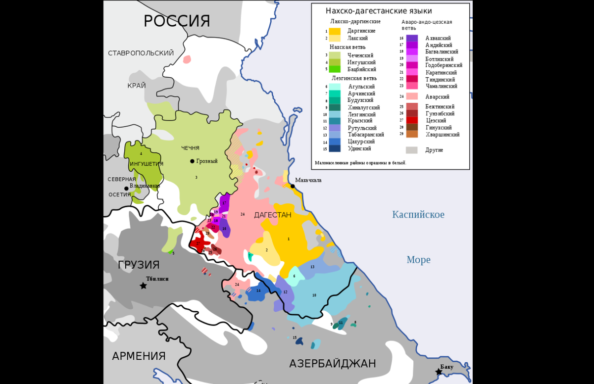 Языки Дагестана. Языковые группы Дагестана. Нахские языки. Классификация Дагестанских языков.
