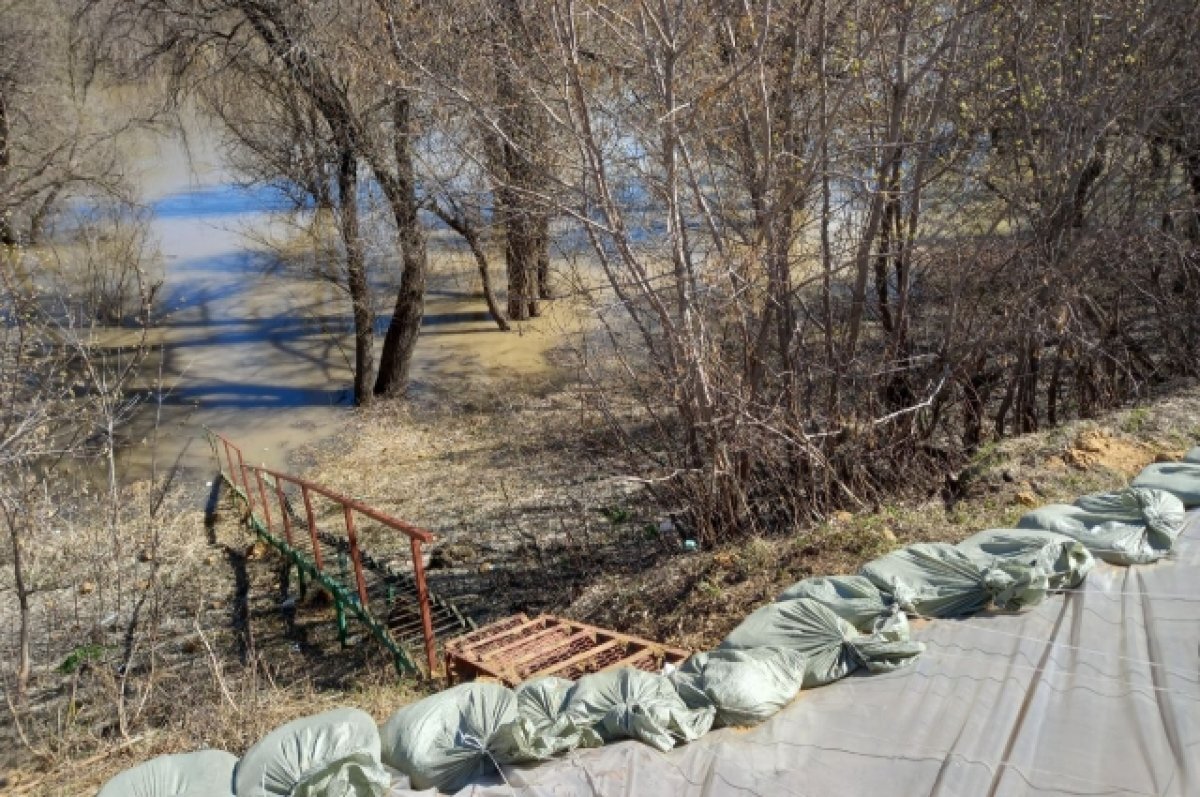    До Абатского района уже 24 апреля может дойти большая вода