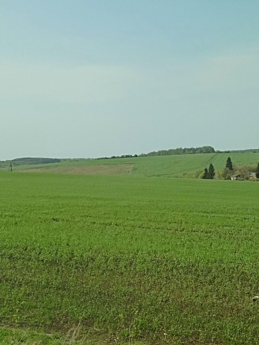 Эти поля в свое время были выжжены полчищами кочевников