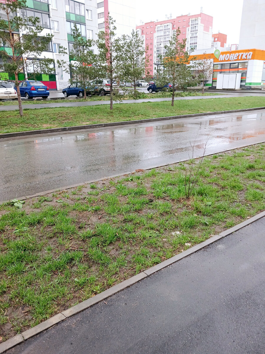 "Доброе утро, мир! Ты прекрасен!" Фото автора