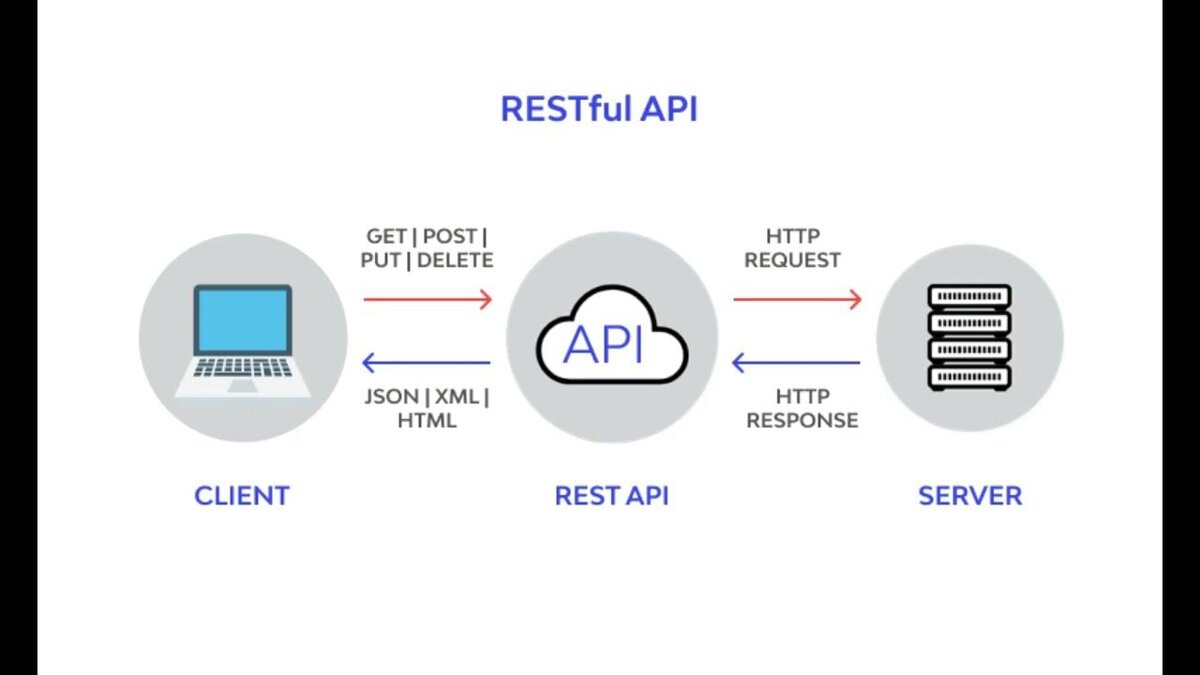 Великолепный мир REST API: универсальный инструмент во фронтенд-разработке!  | Frontend.ru | Дзен