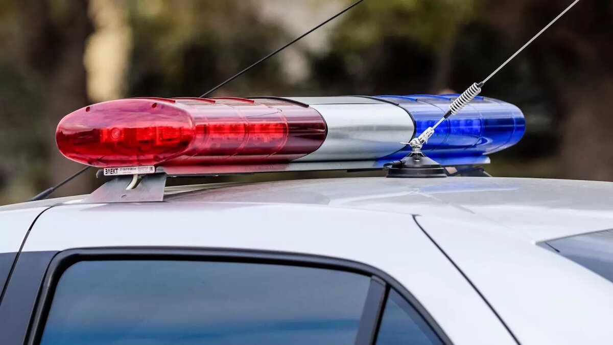     Источник: inkazan.ru