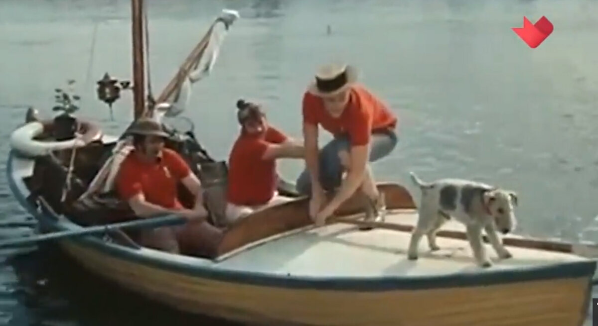 Миролюбивый фокс