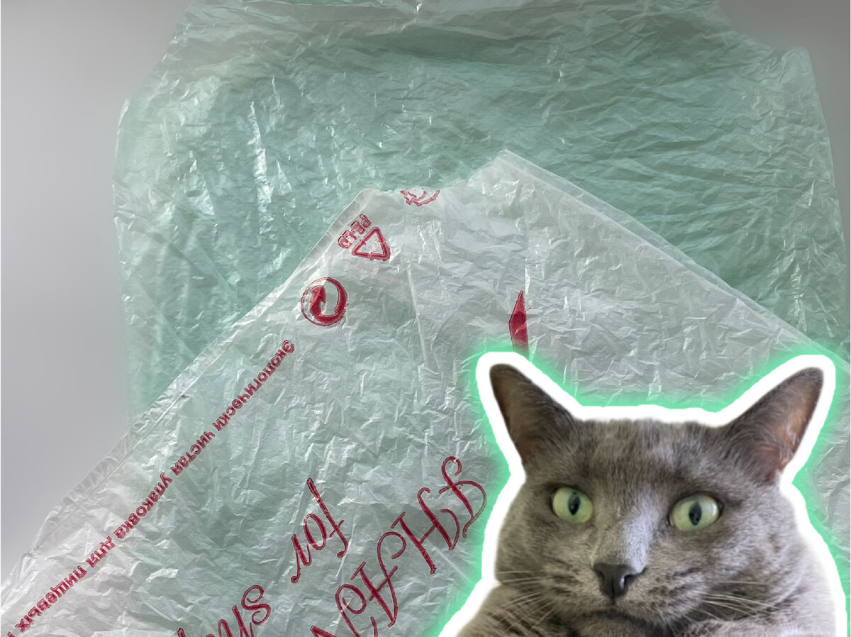 Пакет и кошка