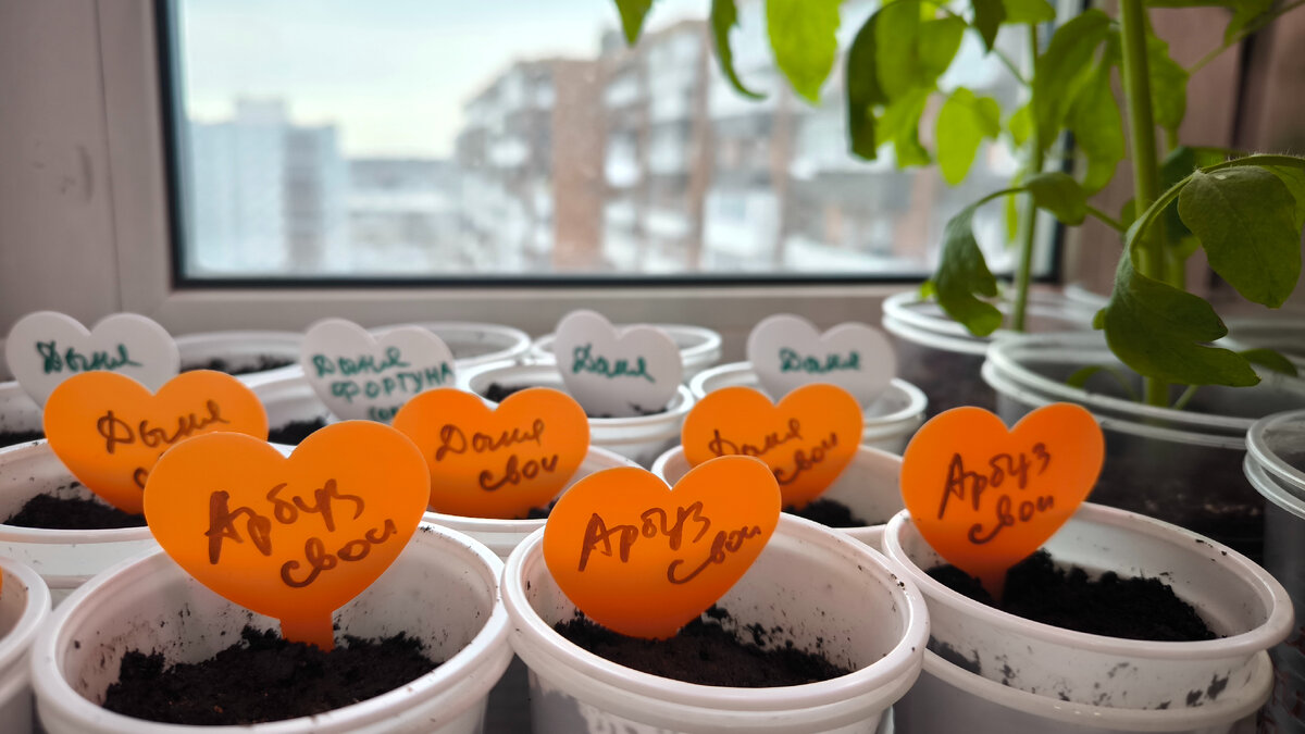 22 апреля 2024г