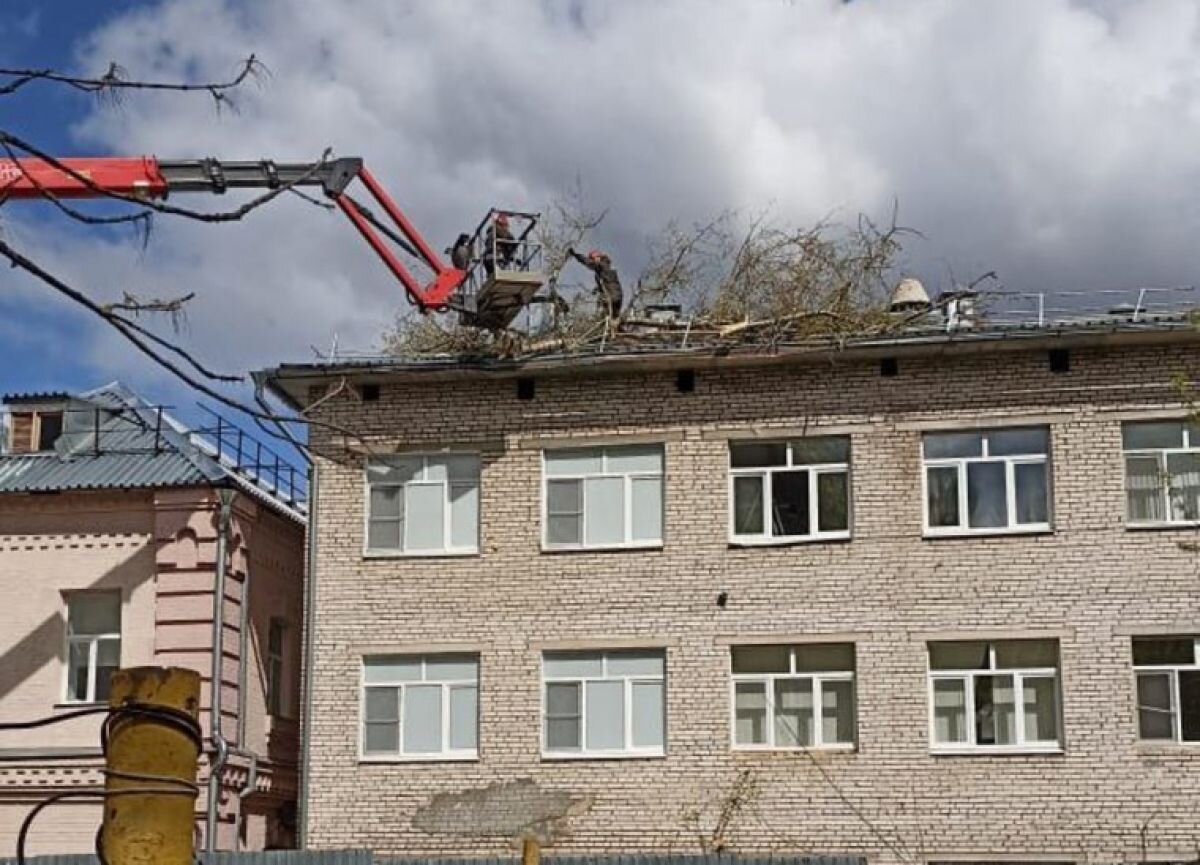 В Туле после выходных продолжают устранять последствия непогоды | «Тульские  новости» | Дзен