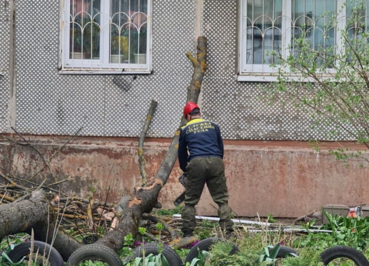 В Туле после выходных продолжают устранять последствия непогоды | «Тульские  новости» | Дзен