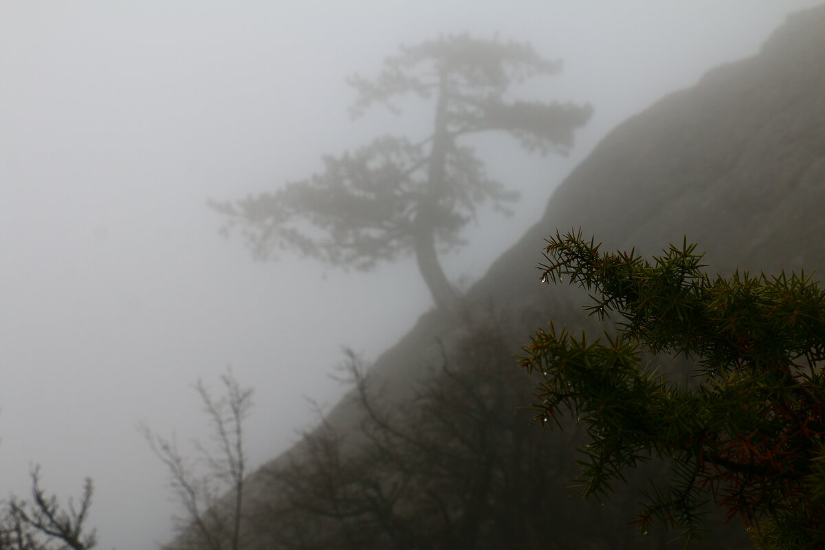 Туман на Эчки-Даге 