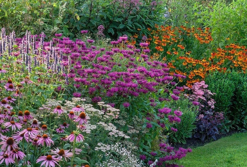 😊Тысяча первый совет, как начать отдыхать в саду