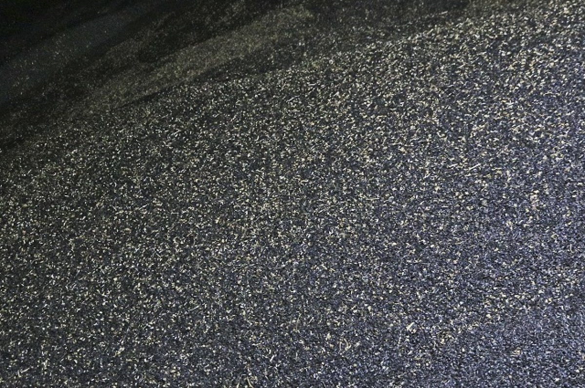    Подозрительные семена подсолнечника обнаружены в Волгоградской области