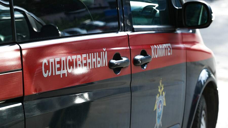 Фото: ИЗВЕСТИЯ/Михаил Терещенко