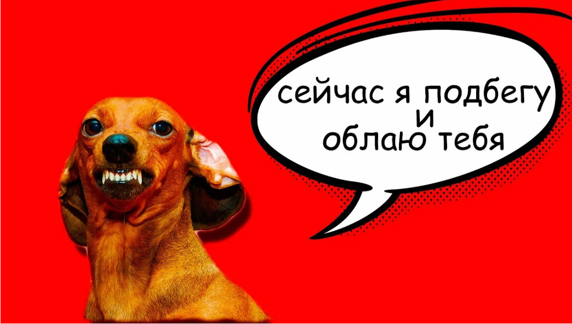 Источник Яндекс картинки