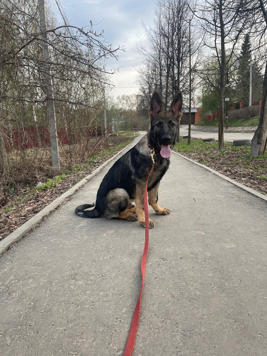 Я не трус, но я опасаюсь 