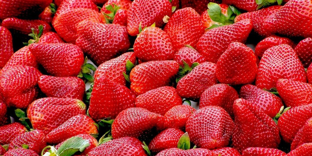 Сезон клубники: кому не стоит злоупотреблять ягодой?