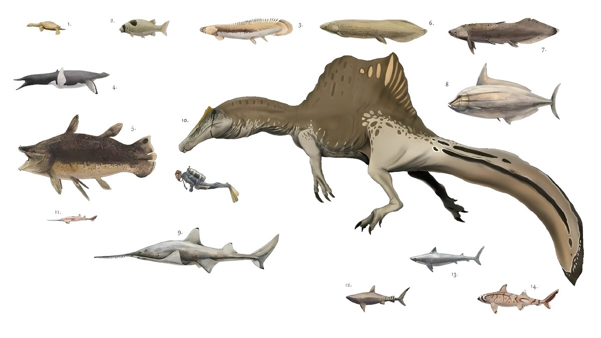 Мавсония (ищите на картинке самую крупную рыбу) и другие животные Африки времён динозавров