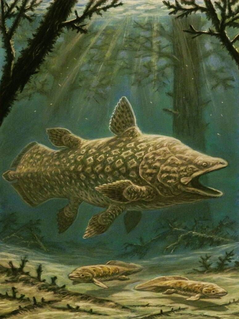 Мавсония была очень красивая и величественная рыба, которая обитала в водоёмах древней Африки. Её жизнь была довольно опасна, ведь в те времена место обитания Мавсонии приходилось делить с ужасными Спинозаврами, которые были заинтересованы в охоте на столь крупное создание