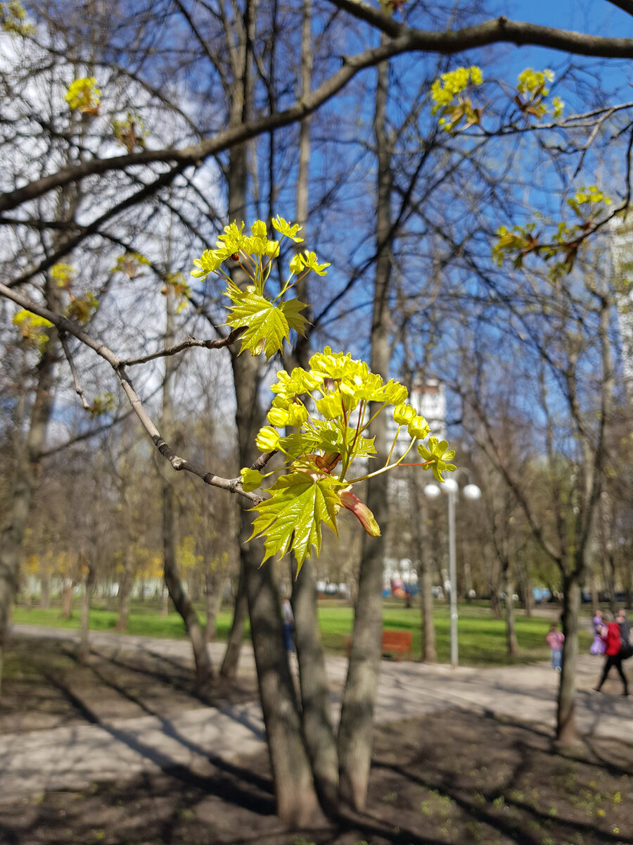 22 апреля в москве