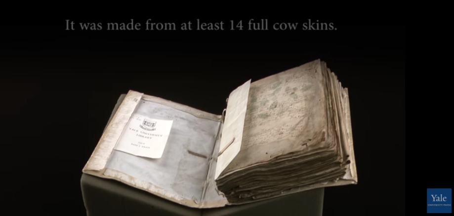 фото: скриншот https://beinecke.library.yale.edu/collections/highlights/voynich-manuscript